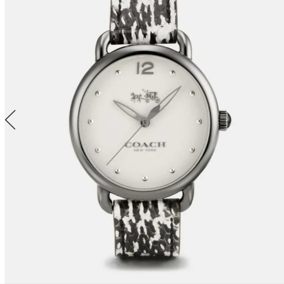 Delancey Ionized Plated Python Leather Strap Watch - Picture 3 of 3